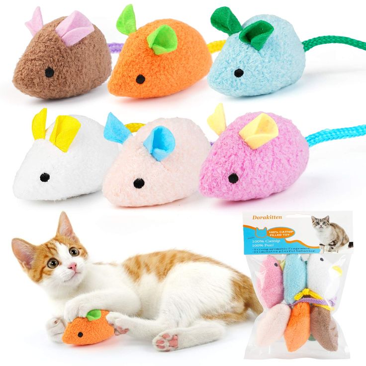 interactive cat toys