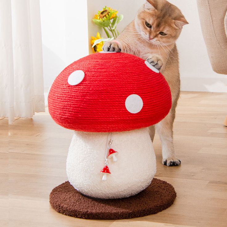 mushroom cat toy