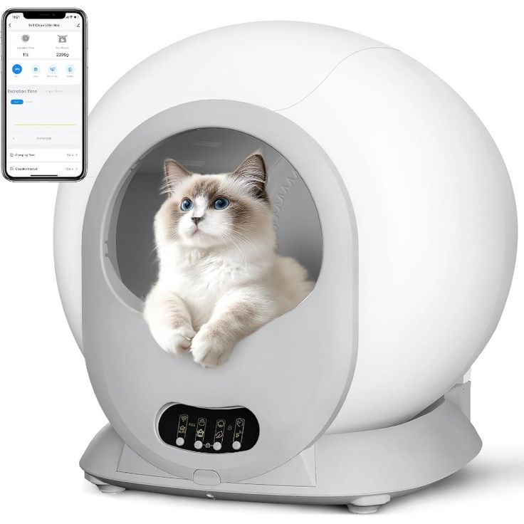 automatic cat litter box