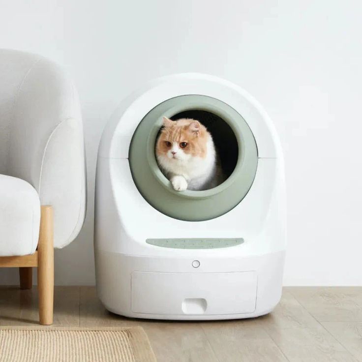 pet care technology