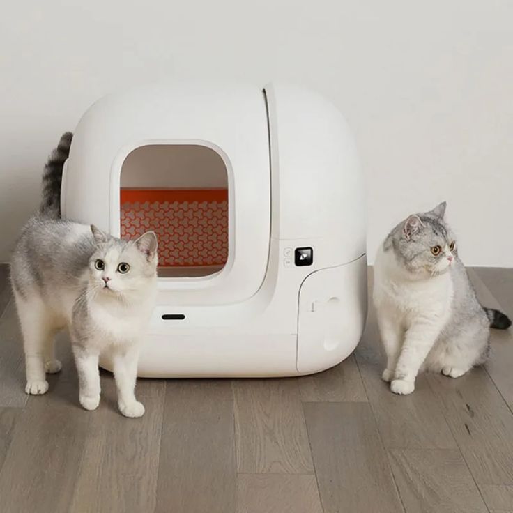 self cleaning litter box