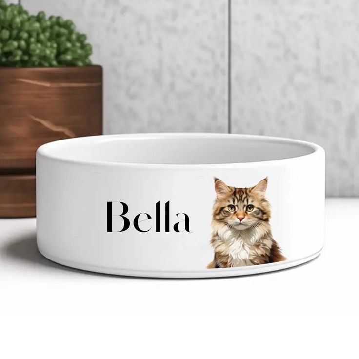 personalized cat bowls