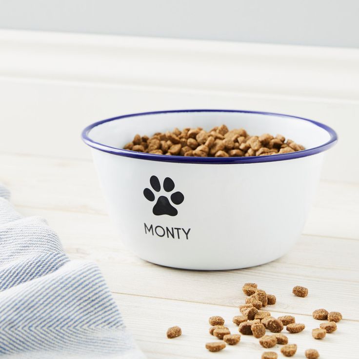 custom cat food bowls