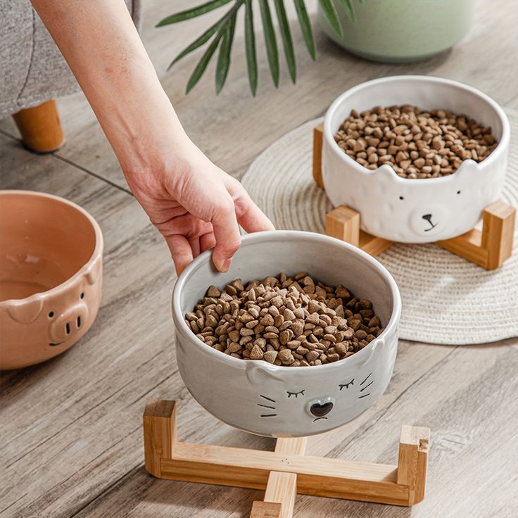 pet feeding bowls