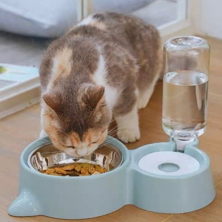 best cat food bowls