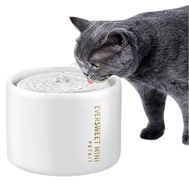 are cat water fountains safe