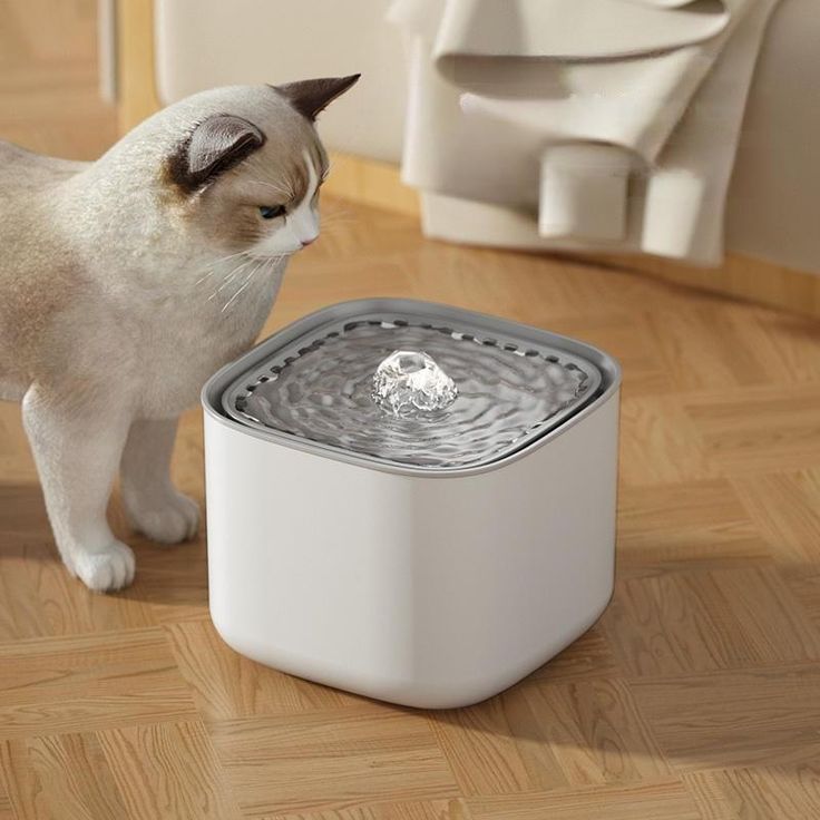 pet water fountain safety