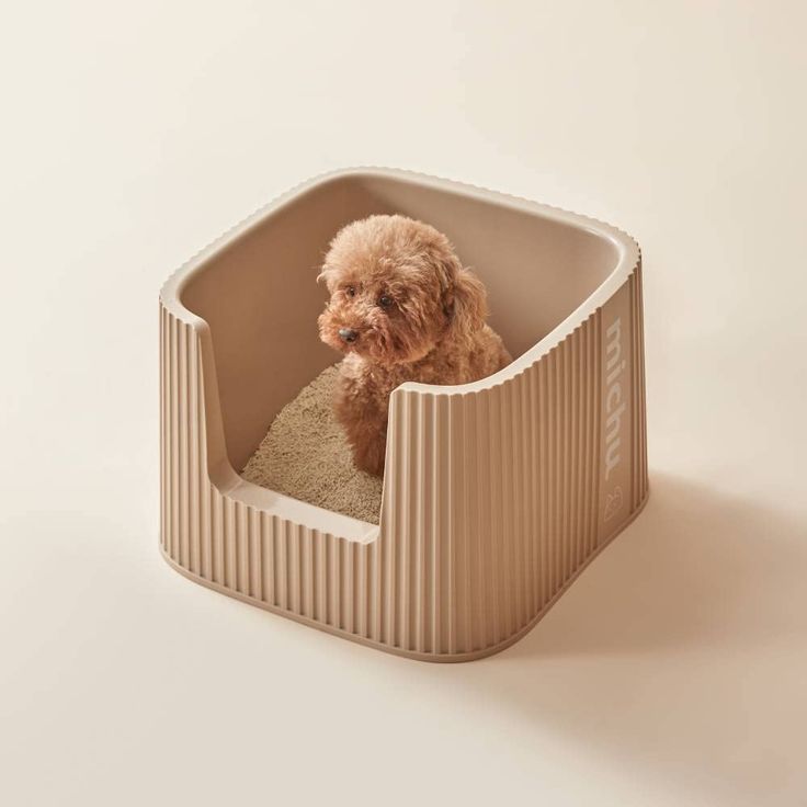 dog litter box