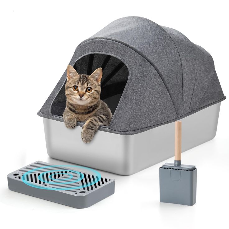 long-lasting litter box