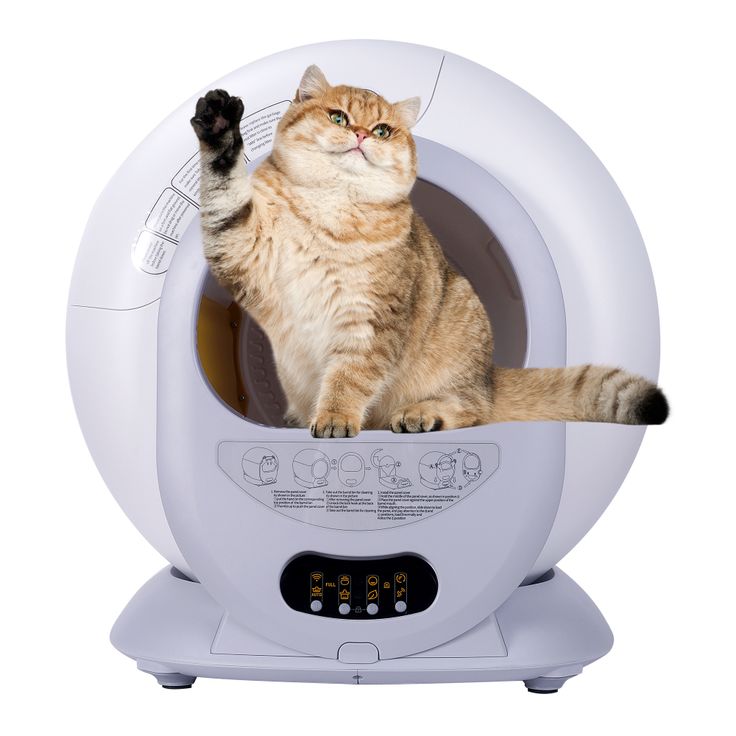 best automatic litter box