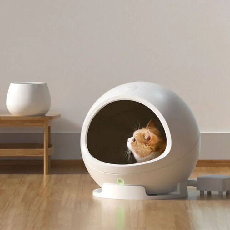 top rated automatic litter box